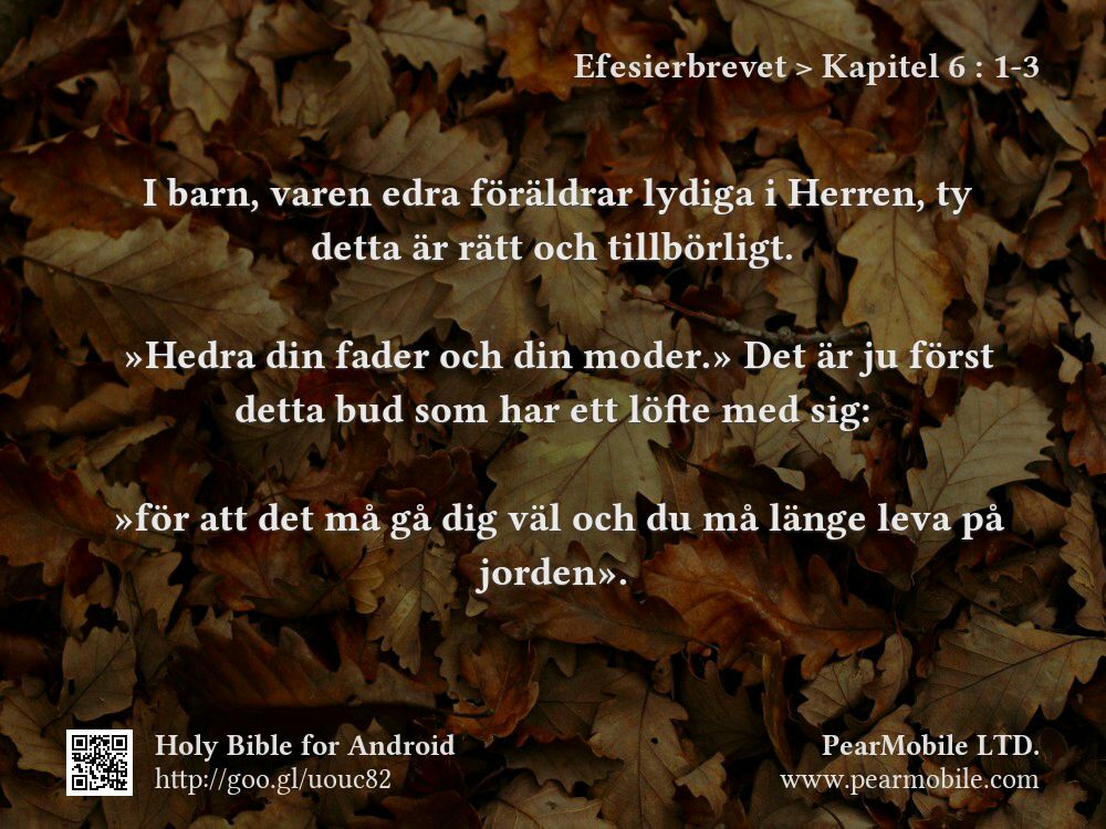 Efesierbrevet, Kapitel 6:1-3